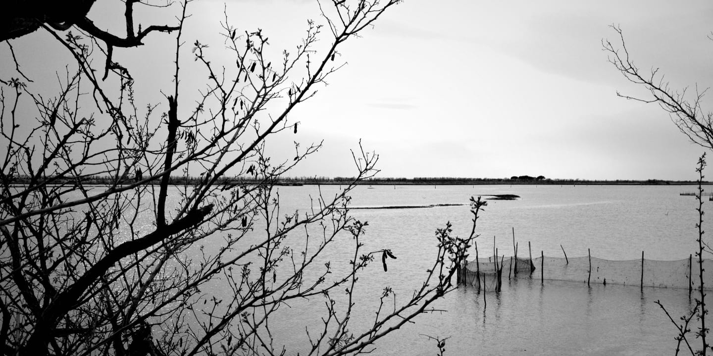Non succede nulla, fotografia 3 di 12