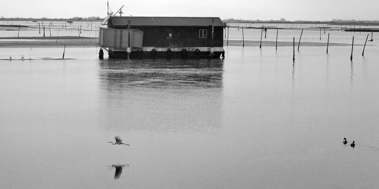 Non succede nulla, fotografia 4 di 12