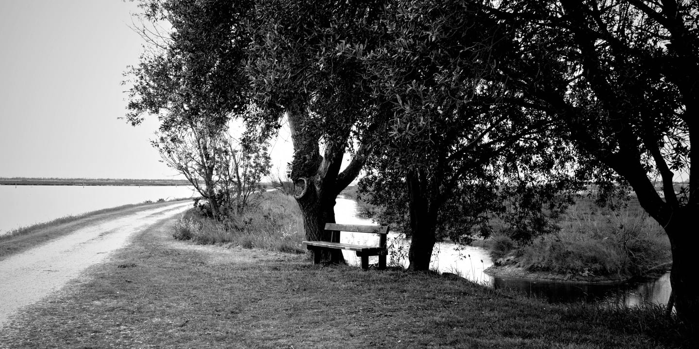 Non succede nulla, fotografia 12 di 12